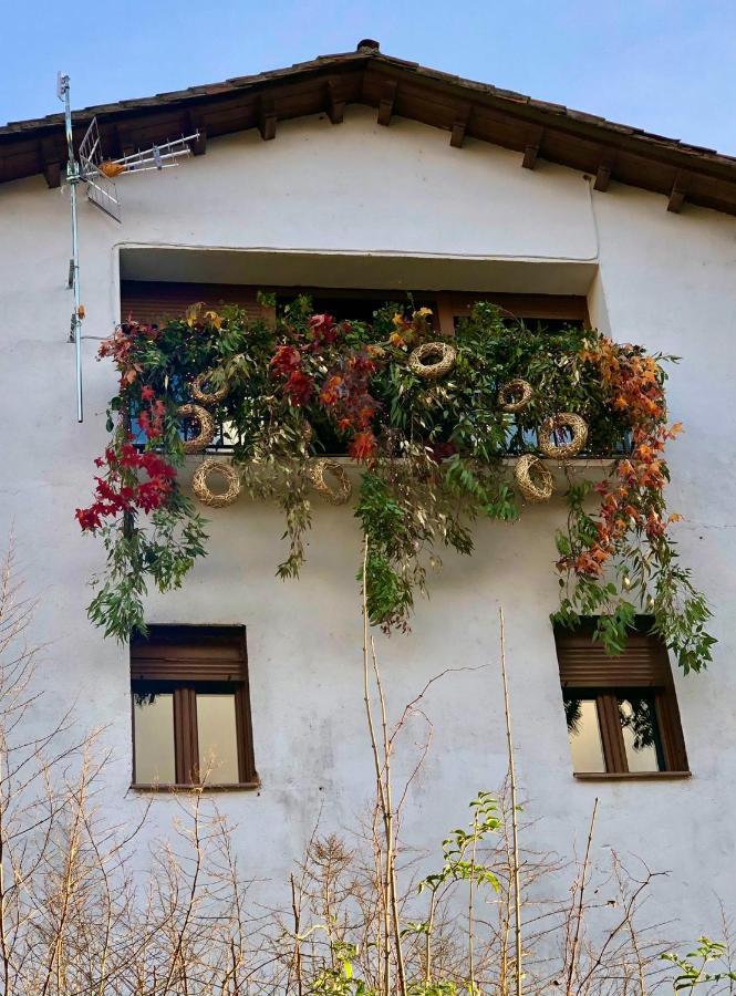 Apartamentos En El Valle Del Jerte Flores Para Angela Cabezuela Del Valle Luaran gambar