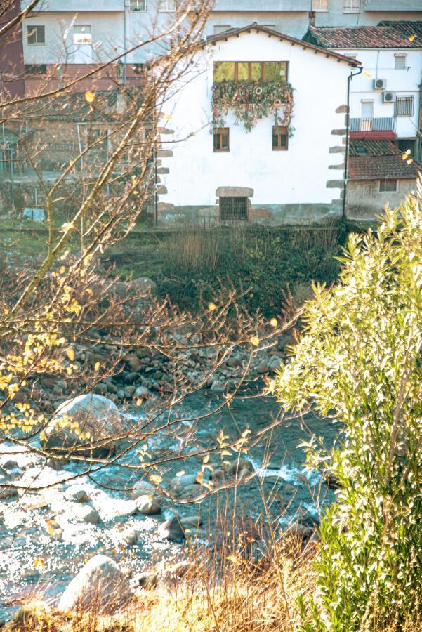 Apartamentos En El Valle Del Jerte Flores Para Angela Cabezuela Del Valle Luaran gambar
